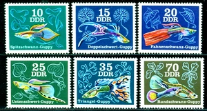 1976, Der Guppyfisch, Regenbogenfisch, Zierfische, Deutschland DDR, Mi. 2176, postfrisch - Bild 1 von 1