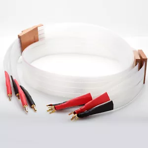 Coppia 5M Cavo Altoparlante Hi-Fi OFC Placcato Argento Altoparlante Spine Banana a Vanga - Foto 1 di 9