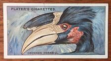 1929 John Player And Sons Cigarette Card - #22 The Crowned Hornbill
