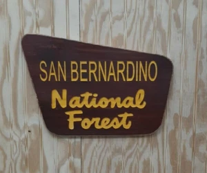 San Bernadino National Forest/Rustic/Carved/Wood Sign/Cabin/Décor/National Park - Picture 1 of 6