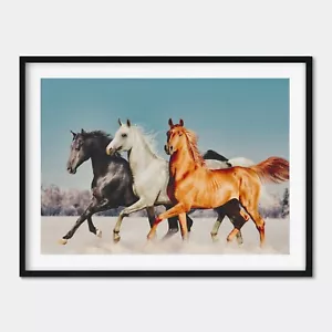Horses Farmhouse Photography Animal Art Large Print. A3 A2 A1 Sizes - Foto 1 di 7