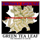 GREEN TEA LEAF The Freshest It Can Be Fresh Ground 100 Vegetarian Capsules