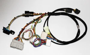 BWE-EEFD Civic CRX EE EF ED 88-91 k arnés de intercambio conversión k20 tipo r - Imagen 1 de 1