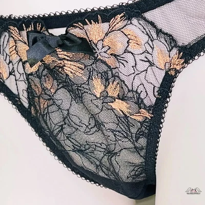 AGENT PROVOCATEUR STUNNING RARE BLACK/BRONZE/GOLD LALEH BRIEF 3 MEDIUM UK 10 NWT - Image 1 of 4