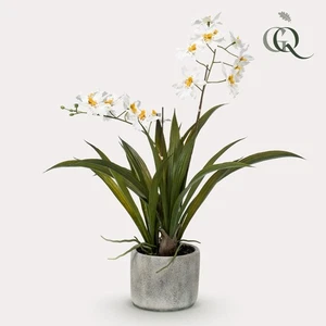 Kunstpflanze Orchidee Weiß 45 cm | Pflanzfix24 - Bild 1 von 5