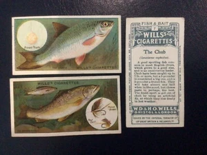 Wills Cigarette Cards Fish & Bait- 1910 - Select The Cards You Need! - Picture 1 of 50