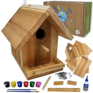 Jr Birdhouse Kit with Paint Set Cedar Wood for Outdoors