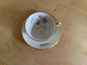 Sammeltasse Winterling Bavaria mit Untertasse, sehr gepflegt, selten benutzt  - Bild 1 von 5