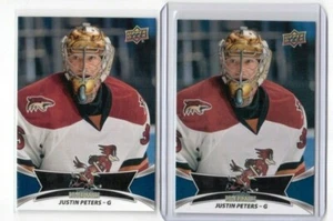 2016-17 AHL Hockey Card # 93 Justin Peters Tucson Roadrunners 2 Card Lot Goalie - Imagen 1 de 2