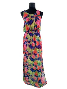 Walter Baker Colorful Floral Chiffon Maxi Dress Size XS W118 EUC - Picture 1 of 12
