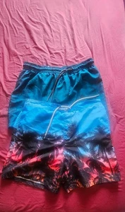 Bundle of 2 Men's Swim Shorts – Palm Tree & Dinosaur Print – Size L - Picture 1 of 3