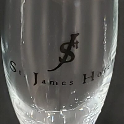 DOS copas de vino de cóctel de champán St. James Hotel Foto 1 de 2