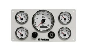 Racimo calibre 5 Perkins, grado marino, llave de encendido sellada, blanco - Imagen 1 de 4