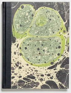 SIGNED - STEPHEN GILL - COEXISTENCE - 2012 1ST ED hackney warming down pillar - Imagen 1 de 11