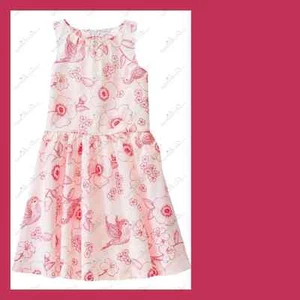 NWT Crazy 8 By Gymboree Size 5 6 7 8 10 Dress Birdy Blossom Cotton Dobby - Picture 1 of 5