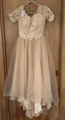 Vestido para mujer de graduación de dama de honor formal beige polvoriento bordado en capas talla 8 nuevo con etiquetas Foto 1 de 4