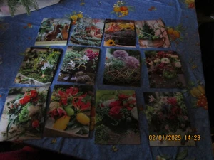 12 x Postkarten Natur/Blumen - Bild 1 von 1