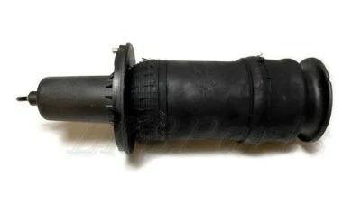 Puntal de suspensión de resorte neumático delantero Land Rover Range P38 95-02 REB101740 Dunlop Foto 1 de 4