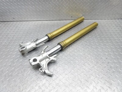 Tubo amortiguador de suspensión horquilla delantera izquierda derecha Aprilia Tuono V4 1100RR 2020 17-20 Foto 1 de 4