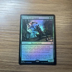 Keen-Eyed Curator - Rare Foil - Bloomburrow - Magic The Gathering - Bild 1 von 2