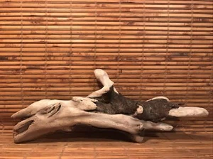Beautiful 14" Driftwood Piece Terrarium Reptile Taxidermy Aquarium Beach Decor - Picture 1 of 11