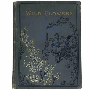 Wild Flowers and Where They Grow Amanda Harris Illus. Humphrey 1882 Collectible - Picture 1 of 17