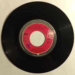 LANI HALL -WHO´S THAT GUY? / JIMMY MACK- 1982 MEXICAN 7" SINGLE, POP 80'S - Picture 1 of 3