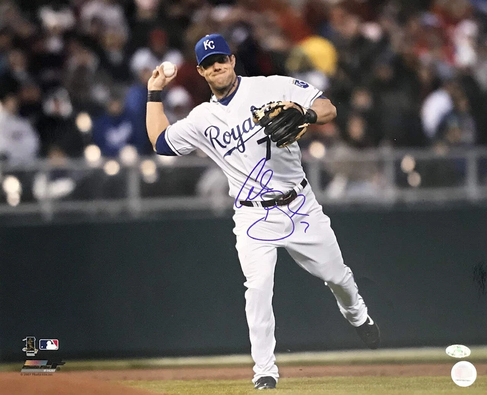 Alex Gordon Autographed Fielding 16x20 Photo - Image 1 of 1