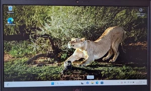 Dell Latitude 3420 - 14 ZOLL - I3 1125G4 - 256GB SSD - 8GB RAM - AZERTY - Bild 1 von 14