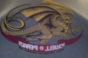 1980 VINTAGE POWELL PERALTA HOODIE SWEATSHIRT MEDIUM SUPER RARE!! ORIGINAL!! - Picture 1 of 6