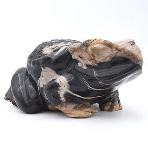 250mm Frog Hand Carved Gemstone Natural Fossilised Wood Healing Crystal Genuine - Bild 1 von 8