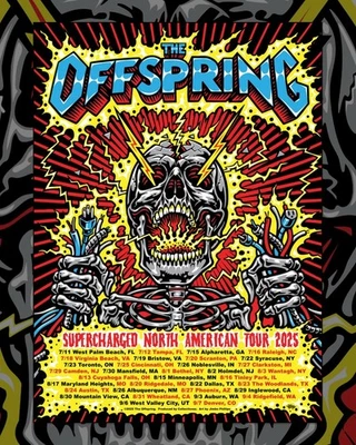 The Offspring 2025 North American Tour Poster, fan gift
