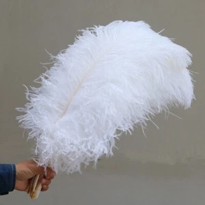 10x Large Ostrich Feathers for Feather Duster Decoration Crafts Costume Soft - Picture 1 of 12