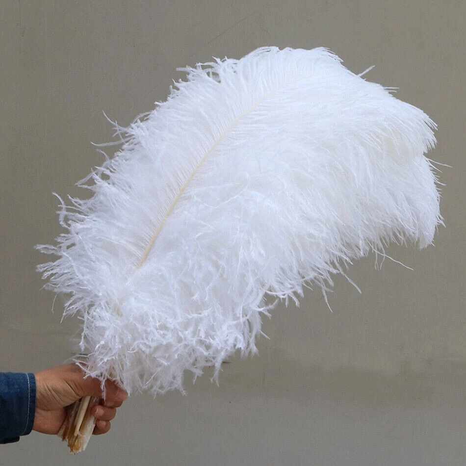 SAVIEVA 10x Large Ostrich Feathers for Feather Duster Decoration Crafts Costume Soft