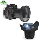 Seafrogs 40m Underwater Camera Housing for Canon EOS R 16-35mm with Dome Port
