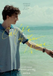 Call Me By Your Name movie poster (d) - Timothee Chalamet - 11 x 17 inches - Picture 1 of 1