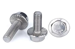 VITI FLANGIATE IN ACCIAIO INOX TESTA ESAGONALE CON FLANGIA M5 M6 M8 DIN 6921 - Foto 1 di 7