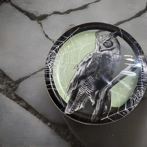 Party Creations Owl Spider Webs Dessert Cake 7" Plates 48 Total - Picture 1 of 2