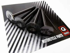 KAWASAKI KZ900 LTD 76 FORSETI EXHAUST VALVE SET x 4 12005-005 - Picture 1 of 3