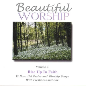 Beautiful Worship Vol. 3: Rise Up In Faith - Various Artists - CD - Picture 1 of 1