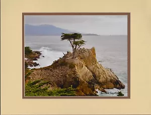 Ciprés solitario de Barbara Snyder Monterey paisaje marino doble mate 11x14 - Imagen 1 de 1