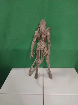 NECA Xenomorph (Albino Drone) Aliens Concept Figure 2016 loose complete - Image 1 of 4