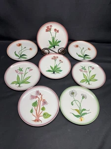 8er Set (5 Designs) italienische Keramik "BOTANISCH" #x840 ~ Dessertteller ~ 6 1/4" - Bild 1 von 13
