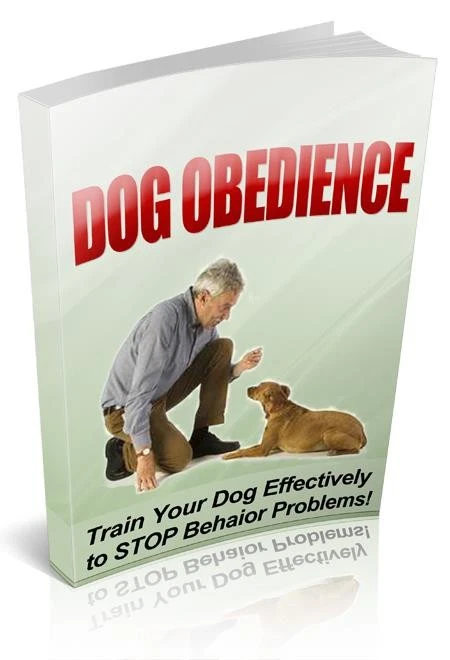 Dog Obedience; Train Your Dog Effectively to Stop Behavior Problems; Proven (CD) - Image 1 of 1
