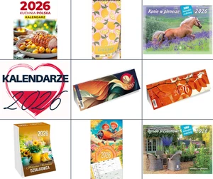 Polski Kalendarz Różne Formaty 2025 - Organizador Estilo Różne Na Każdy Dzień - Imagen 1 de 53