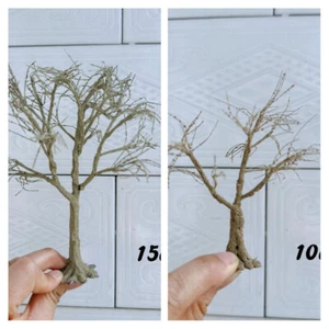 2PC 10-15cm Miniatures Handmade DIY Trunk HO/OO Scale Trees Railway Scene Model - Picture 1 of 8