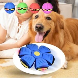 Pet Dog Toys Flying Saucer Ball UFO Outdoor Sports Training Equipment DISC New