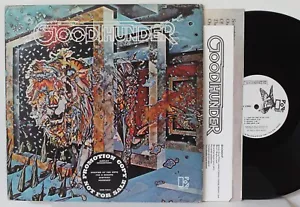 Goodthunder LP ~ Self Titled ~ Elektra EKS 75041 ~ PROMO ~ NM Folk Psych - Picture 1 of 2