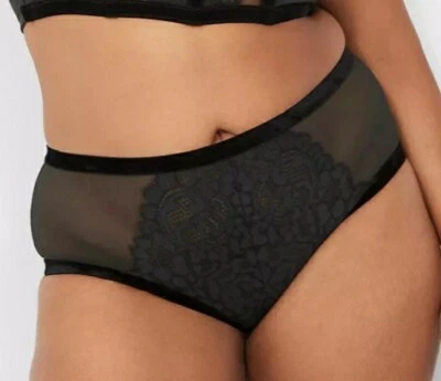Sexy Panty Lane Bryant Negro Malla y Encaje Terciopelo Borde Descarado Talla Grande 22/24, 3X Foto 1 de 4