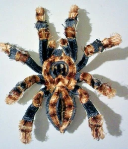 Velvet Spider Tarantula Insect Handmade Sew-On Embroidered Patch - Picture 1 of 6